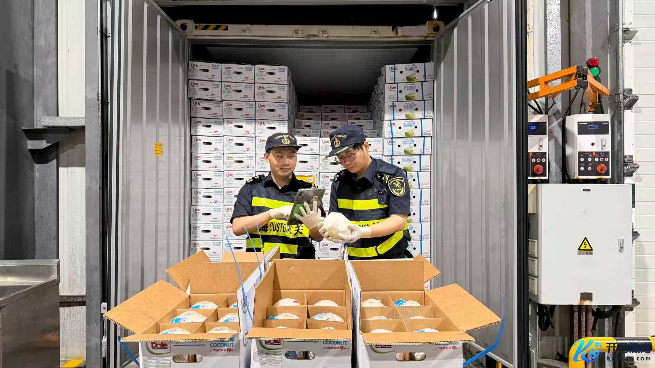 上国外高桥港区海关关员对一批入口自共建“一带沿路”国度的椰子开展检讨。影相/刘婷婷 