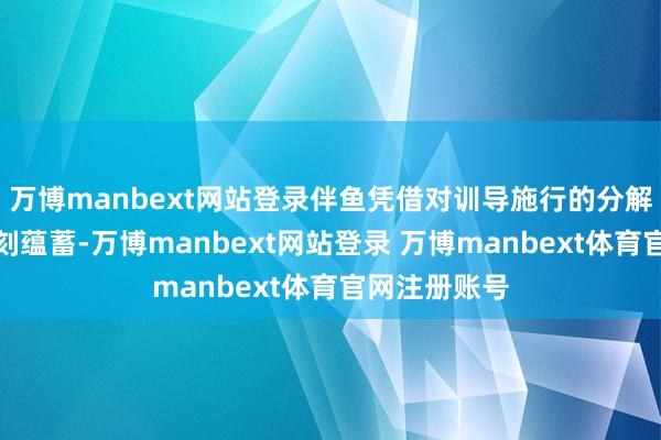 万博manbext网站登录伴鱼凭借对训导施行的分解和深厚的时刻蕴蓄-万博manbext网站登录 万博manbext体育官网注册账号